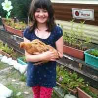 Alex and the new chickens