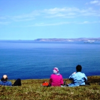 Picnic lunch