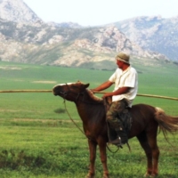 Bagge & his horse